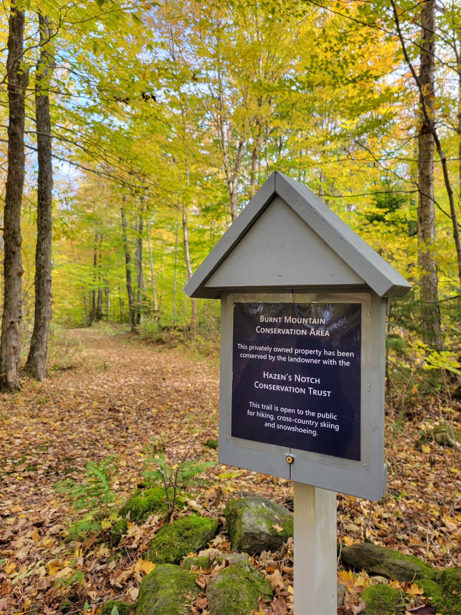 Burnt Mountain Conservation Area, Montgomery Vermont