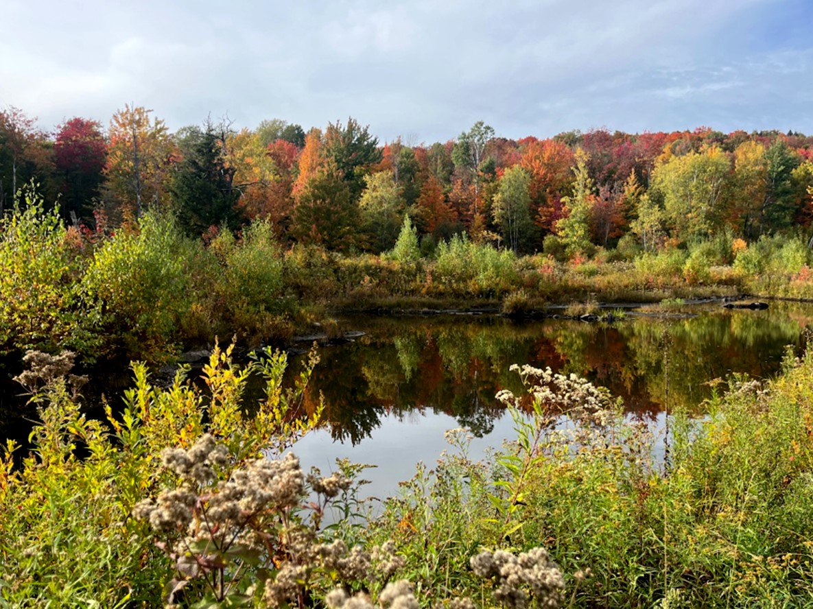 High Ponds Farm Nature Preserve