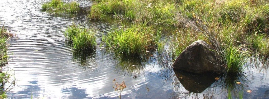 High Ponds Farm Nature Preserve